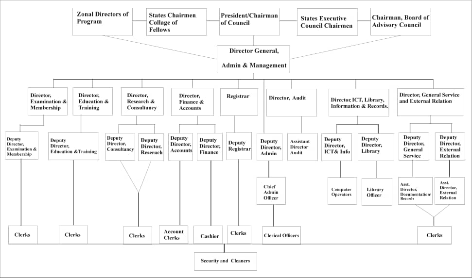 IPAM Organogram